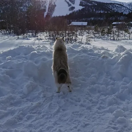 Apartamento Rett Ved Raudalen Alpinanlegg