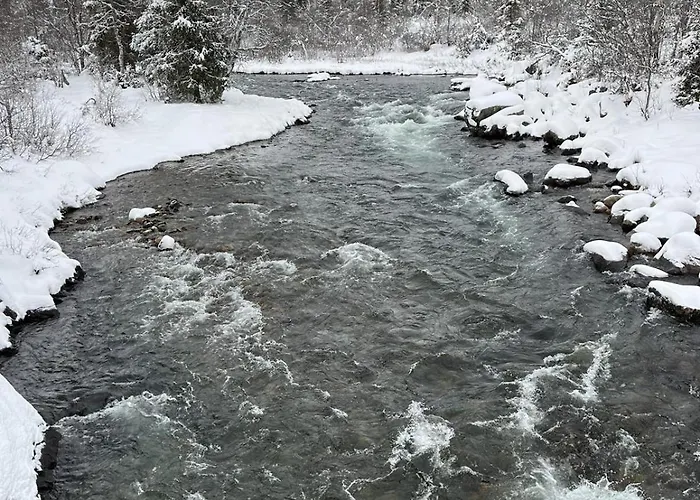 Rett Ved Raudalen Alpinanlegg Leilighet *
