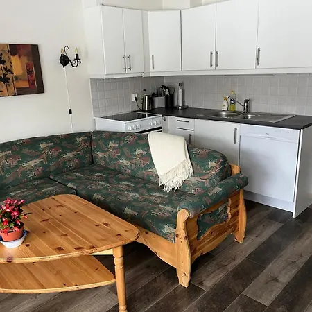 Rett Ved Raudalen Alpinanlegg 公寓